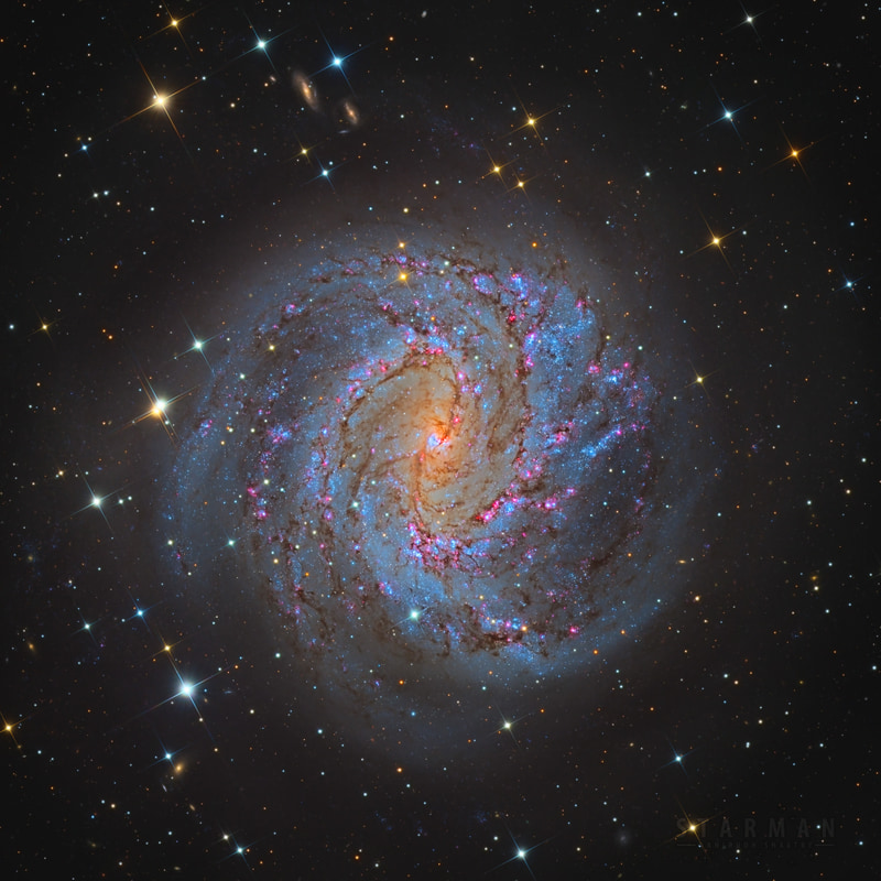The Southern Pinwheel Galaxy