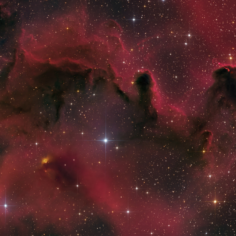 Dark Nebula